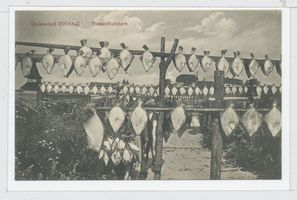 Cranz Kr. Samland, Ort, Kreis Samland 