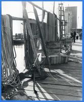 Pillau, Seestadt, Kreis Samland 