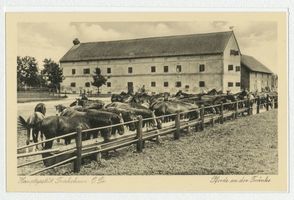 Groß Trakehnen, Kreis Ebenrode 