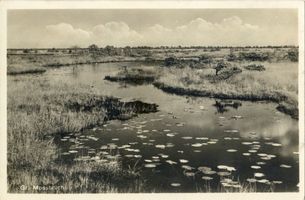 Großes Moosbruch II Sammlung von Bildern hoher fotografisch-künstlerischer Qualität