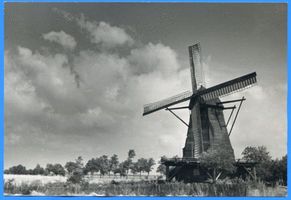Kinten, Kreis Heydekrug Kinten, Windmühle 