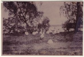 Großschmieden, Kreis Lyck 