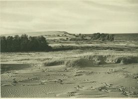  Kurische Nehrung, Nehrungslandschaft Kurische Nehrung, Dünen