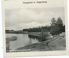 Thiergarten Kr. Angerburg, Kreis Angerburg Thiergarten Kr. Angerburg, Thiergartenspitze am Mauersee Тиргартен, уезд Ангербург, Тиргартенский мыс у Мамерзее
