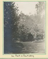 Rautenburg, Kreis Elchniederung Rautenburg, Im Park II Раутенбург, в парке, II