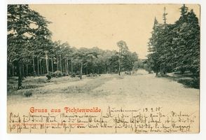 Fichtenwalde Kr. Gumbinnen, Kreis Gumbinnen Fichtenwalde Kr. Gumbinnen, Wald 