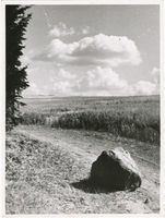  Masuren, Stein am Feldweg Мазурия, камень у полевой дороги