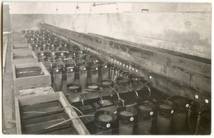 Angerburg Kr. Angerburg, Stadt, Kreis Angerburg Angerburg, Maränenbrutanstalt Ангербург, завод по разведению ряпушки