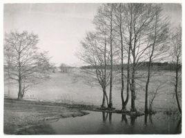  Litigainosee, Am See Masurische Seen