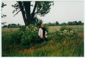 Schönlinde Kr. Gerdauen, Kreis Gerdauen 