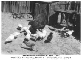 Alt Rosenthal, Kreis Rastenburg 