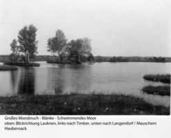  Großes Moosbruch, Blänke, schwimmendes Moor Großes Moosbruch, nicht verortete Bildmotive