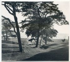 Nimmersatt, Kreis Memel Nimmersatt, Strandbild III Ниммерзатт, пляжная сцена, III