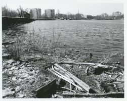 Königsberg (Pr.), Stadtkreis Königsberg 