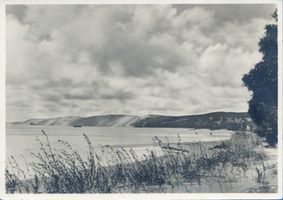  Kurische Nehrung, Am Haffstrand bei Nidden Kurisches Haff