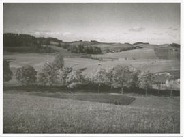  Oberland, Landschaft 