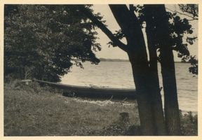Nikolaiken Kr. Sensburg, Kreis Sensburg Nikolaiken, See bei Nikolaiken, Ellern-Eck II Николаикен, озеро у Николаикен, Ольховый угол, II