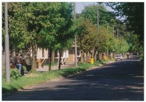 Rauschen Kr. Samland, Kreis Samland Rauschen Kr. Samland, Straße ? 