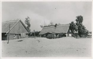 Pillkoppen, Kreis Samland Pillkoppen, Stall und Fischerhaus, III Kurische Nehrung, Fischerhaus