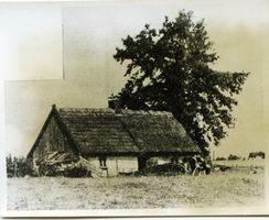 Tharau, Kreis Preußisch Eylau 