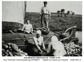 Tawe, Ort, Kreis Elchniederung 