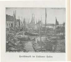 Labiau, Kreis Labiau 