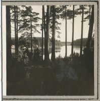  Masuren, Am Beldahnsee VI Мазурия, у озера Бельдан, VI