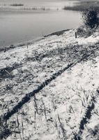  Frisches Haff, An der Fischhausener Wiek Фришес-Хафф, у бухты Фишхаузен