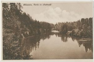 Allenstein, Stadtkreis Allenstein Allenstein, Partie im Stadwald Allenstein, Stadtwald