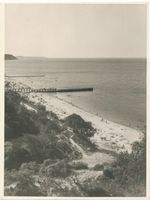 Rauschen Kr. Samland, Kreis Samland Rauschen Kr. Samland, Blick auf Strandpromenade und Seesteg II Samländische Steilküste