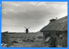 Labiau, Kreis Labiau Labiau, Gehöft mit Mühle Лабиау, хутор с мельницей