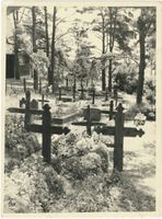 Nidden, Kreis Memel Nidden, Friedhof XXVI Nidden, Friedhöfe