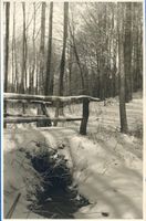 Waldhäuschen Kr. Osterode, Kreis Osterode Waldhäuschen Kr. Osterode, Winterwald 