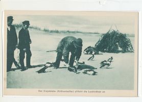  Kurische Nehrung, Vom Krähenfang auf der Kurischen Nehrung II 