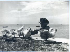 Frisches Haff, Fischerjunge mit jungen Gänschen 