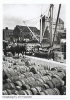 Königsberg (Pr.), Stadtkreis Königsberg 