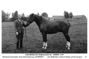 Kleinheinrichswalde, Kreis Elchniederung 