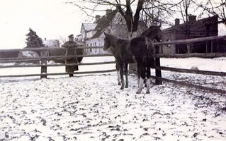 Galben, Kreis Bartenstein Galben, Gutshaus mit Pferdegeläuf 