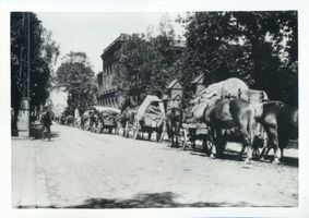 Wehlau, Kreis Wehlau Wehlau, Pferdemarkt, Aufmarsch Wehlau, Pferdemarkt