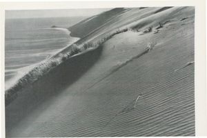  Kurische Nehrung, Dünen, Die Steilseite einer Düne, unmittelbar ins Haff abfallend Куршская коса, дюны, крутой склон дюны, обрывающийся прямо в залив