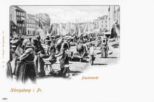 Königsberg (Pr.), Stadtkreis Königsberg 