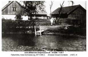 Falkenhöhe Kr. Elchniederung, Kreis Elchniederung 