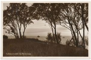Palmnicken, Kreis Samland Palmnicken, Ostseeromantik bei Palmnicken Пальмниккен, балтийская романтика у Пальмниккена