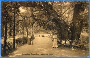Rauschen Kr. Samland, Kreis Samland Rauschen Kr. Samland, Lindenallee am Mühlenteich IV 