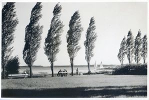 Lötzen, Stadt, Kreis Lötzen Lötzen, Pappeln am Löwentinsee II Лётцен, тополя на озере Лёвинтин, II
