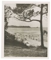 Neukuhren, Kreis Samland Neukuhren, Strandleben Neukuhren, Strand