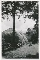  Kreis Labiau, Bauernhof mit Heubergen in der Laubiauer Niederung Labiau, Orte im Kreis