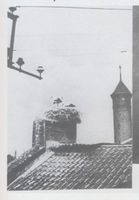 Königsberg (Pr.), Stadtkreis Königsberg Königsberg, Ponarth, Storchennest Königsberg, Stadtteil Ponarth