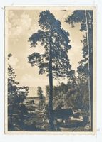 Schwarzort, Kreis Memel 