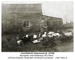 Baumgarten Kr. Rastenburg, Kreis Rastenburg 